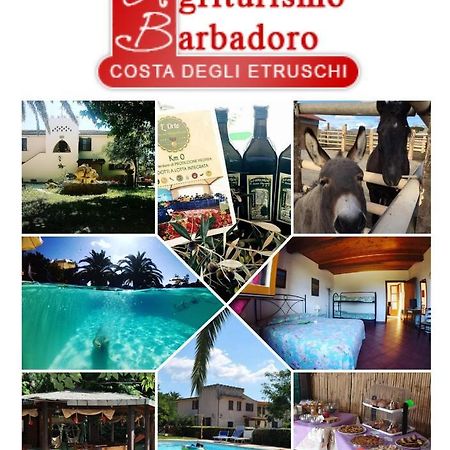 Agriturismo Barbadoro 산빈첸초 외부 사진