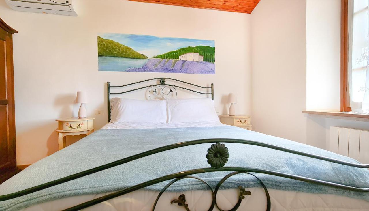 Agriturismo Barbadoro 산빈첸초 외부 사진