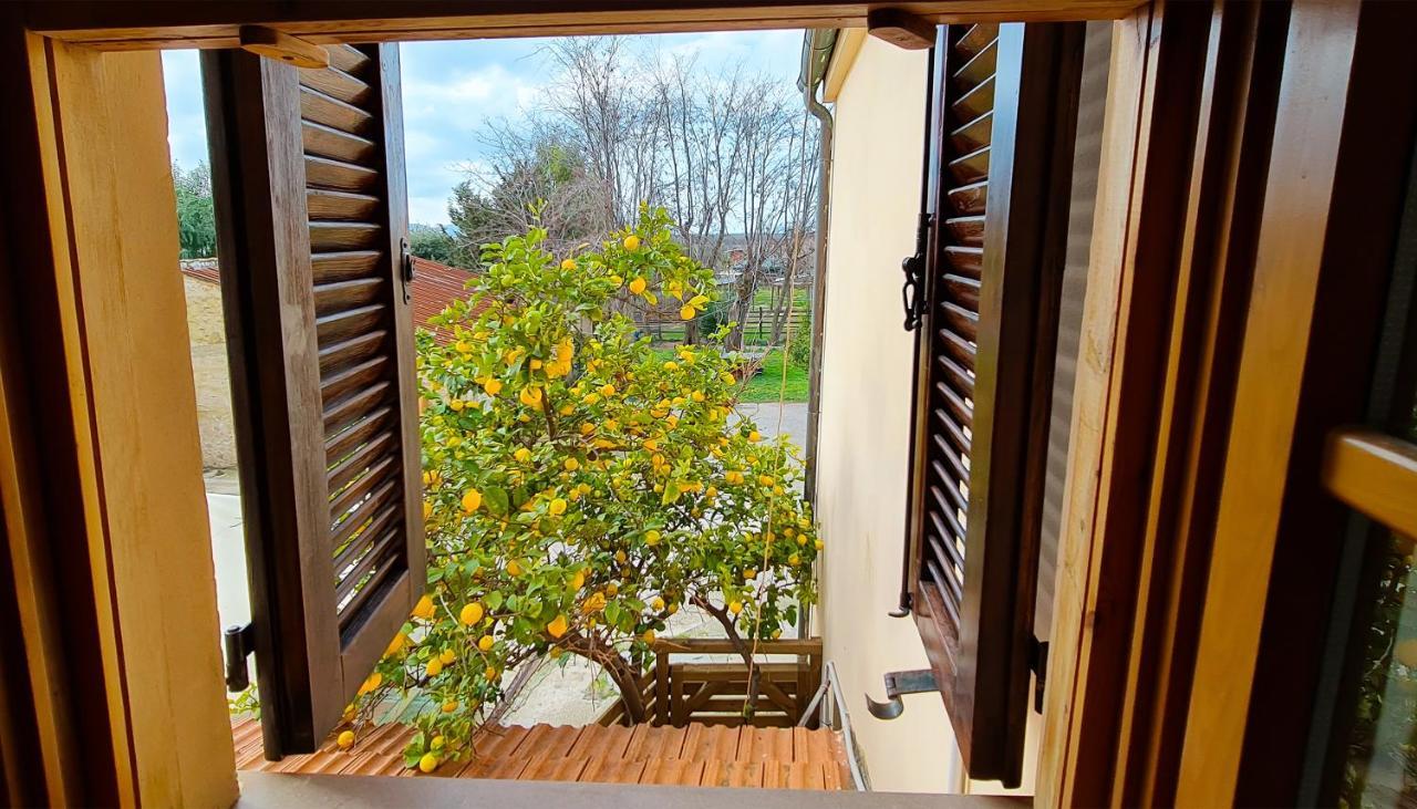 Agriturismo Barbadoro 산빈첸초 외부 사진