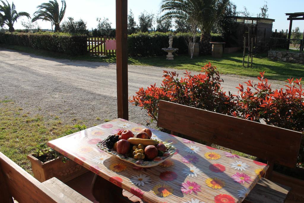 Agriturismo Barbadoro 산빈첸초 객실 사진