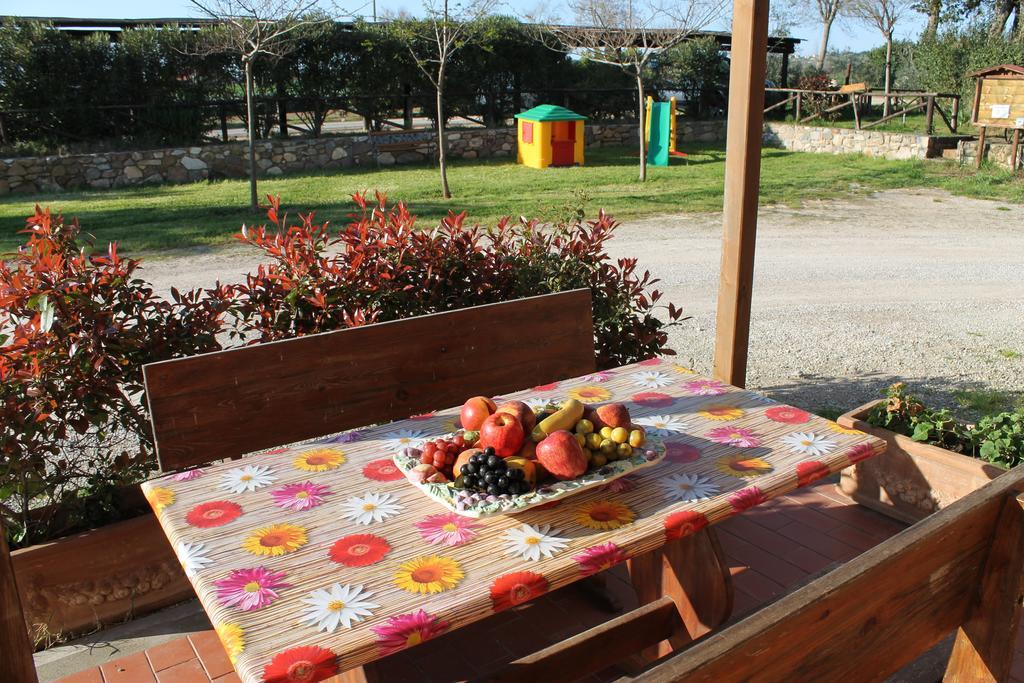 Agriturismo Barbadoro 산빈첸초 객실 사진