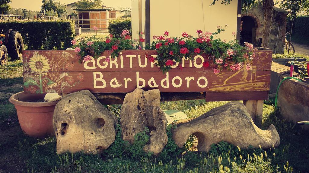 Agriturismo Barbadoro 산빈첸초 객실 사진