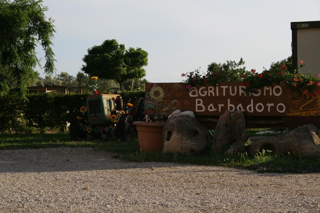 Agriturismo Barbadoro 산빈첸초 외부 사진