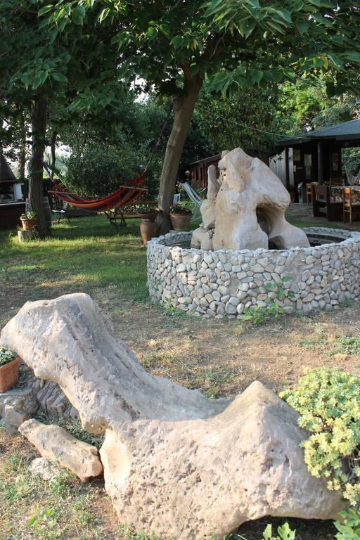 Agriturismo Barbadoro 산빈첸초 외부 사진