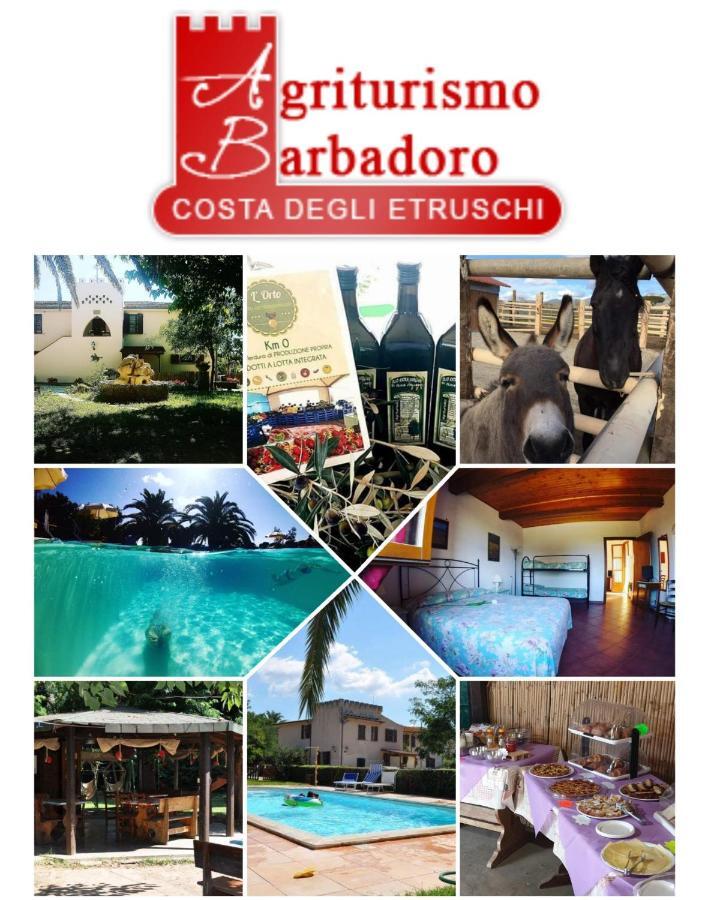 Agriturismo Barbadoro 산빈첸초 외부 사진